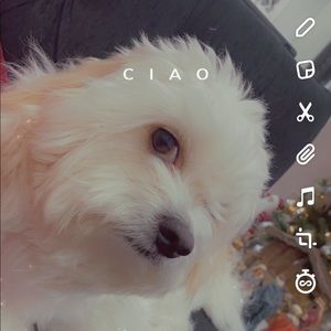 Meet your Posher, Tanya